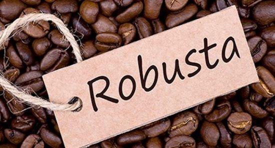 Cà phê Robusta nguyên chất An Hưng